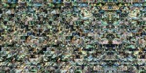 Semi-Precious Stones