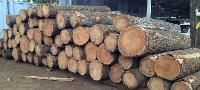 Silver Oak Logs