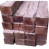 Babool Woods