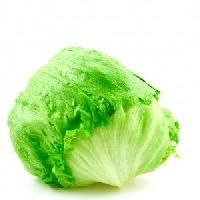 Lettuce Iceberg