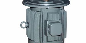 Flange Mounted Motor