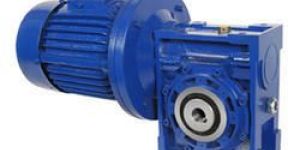 Worm Gear Motor