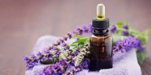 Clary Sage Oil