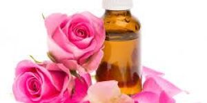 Rose Oil
