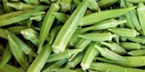 Okra/ Lady finger/ Bhendi