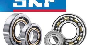 SKF Bearings