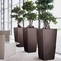 Indoor Planters