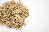 Cumine Seed