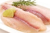 Basa Fillets