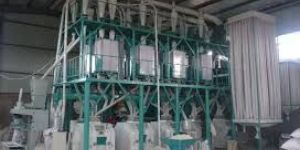Wheat Flour Mill