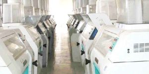 Whole Wheat Atta Plant