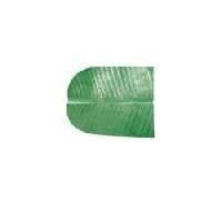 Paper Banana Leaf