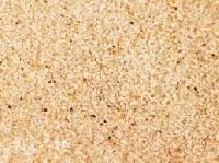 Proppant Sand