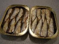 Canned Fish