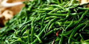 Fresh Green Chilli