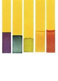PH Indicator Paper