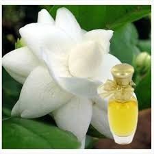 Jasmine Oil