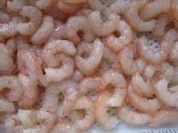 Frozen Pud Shrimps