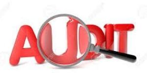 Auditing Services