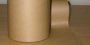 Absorbent Paper