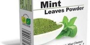 Gio Mint Powder