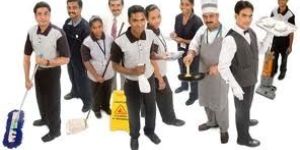 Management Recruitment Services