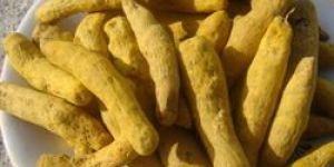 Turmeric Finger