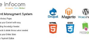 Web Development in Jaipur