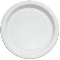 White Paper Plates