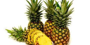Fresh Pineapple