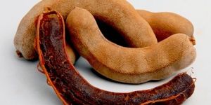Fresh Tamarind