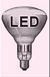 LED Lamp