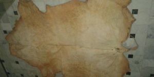 Vintage Tanning Leather