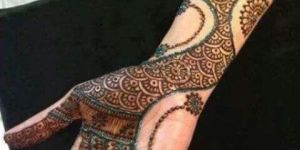 Kashmiri Wool Shawls