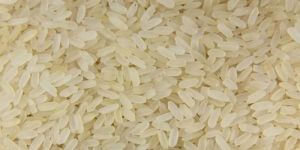 Short Grain Non Basmati Rice
