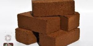 Coco Peat