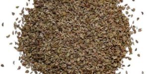 IPM Celery Seeds