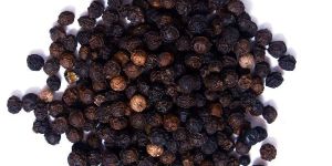 Organic Black Pepper Seeds
