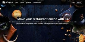 Website Design Services