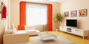 Living Room Interior Designing Services