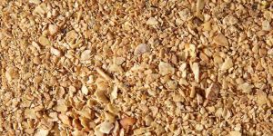 Soybean Meal