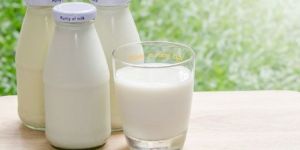 A2 Milk