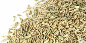 Fennel Seeds