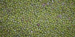Green Moong Dal