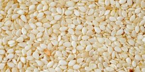 Sesame Seeds