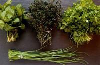 Aromatic Herbs
