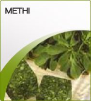 Frozen Fenugreek Leaves