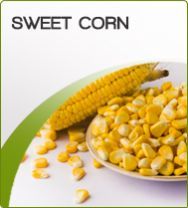 Frozen Sweet Corn