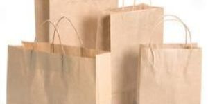 Paper Bags