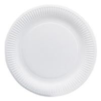 White Paper Plates